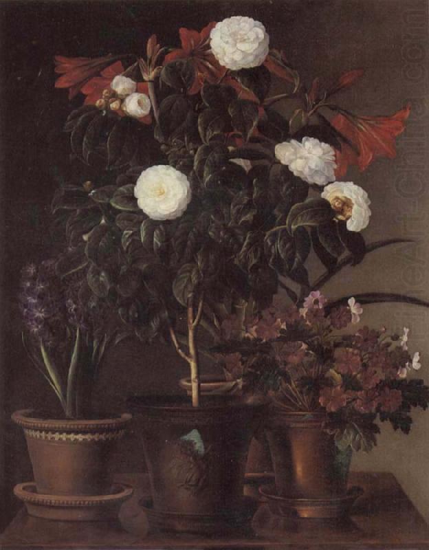 Jensen Johan Gardenia and Amaryllis china oil painting image